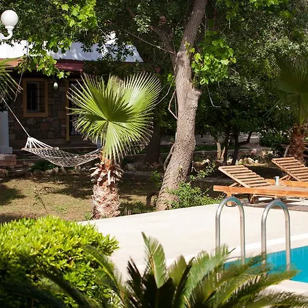 Evoteli Group Muhafazakar Oezel Havuzlu Villa Ekrem 1 *
