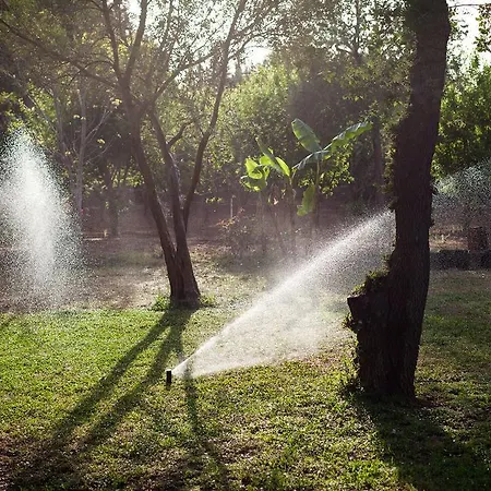 Villa Evoteli Group Muhafazakar Oezel Havuzlu Villa Ekrem 1 Bodrum