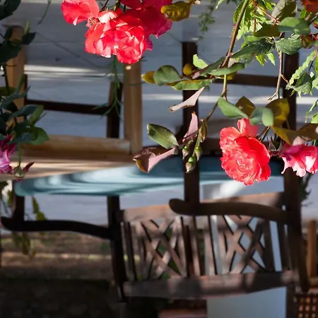 Villa Evoteli Group Muhafazakar Oezel Havuzlu Villa Ekrem 1 Bodrum
