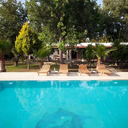 Evoteli Group Muhafazakar Oezel Havuzlu Villa Ekrem 1 Villa